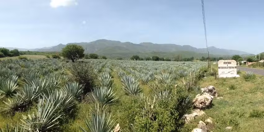 Acaquila Municipio de Huitzuco