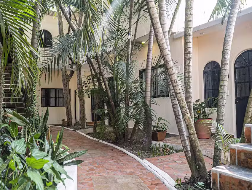 Akali House