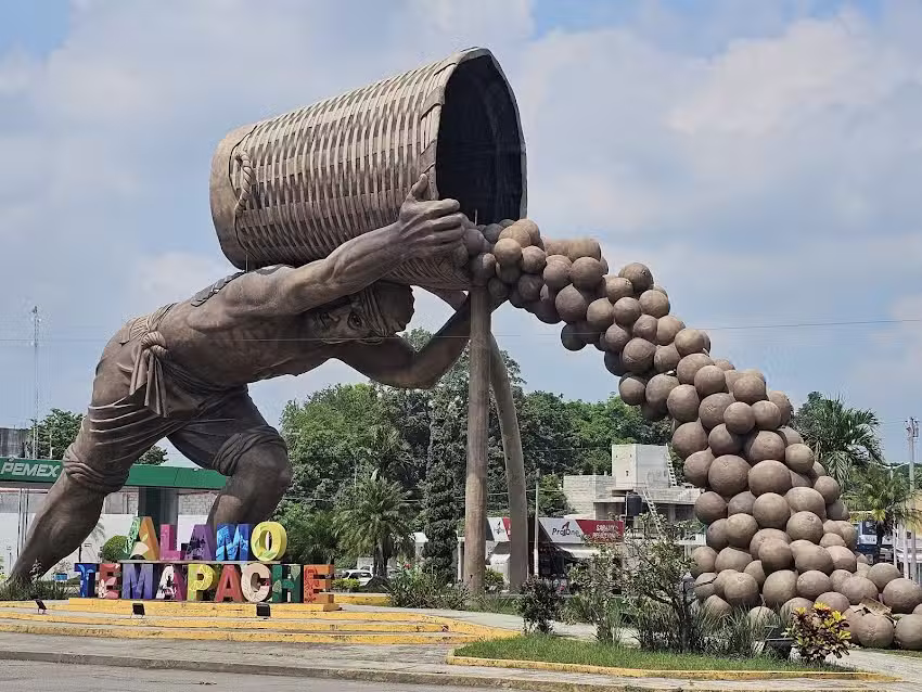 &Aacute;lamo Veracruz