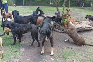 Albergue Milagros del Rinc&oacute;n