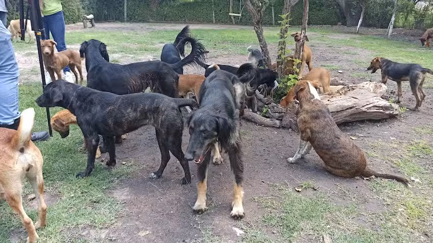 Albergue Milagros del Rinc&oacute;n