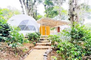 Alma Glamping Xalapa-Coatepec