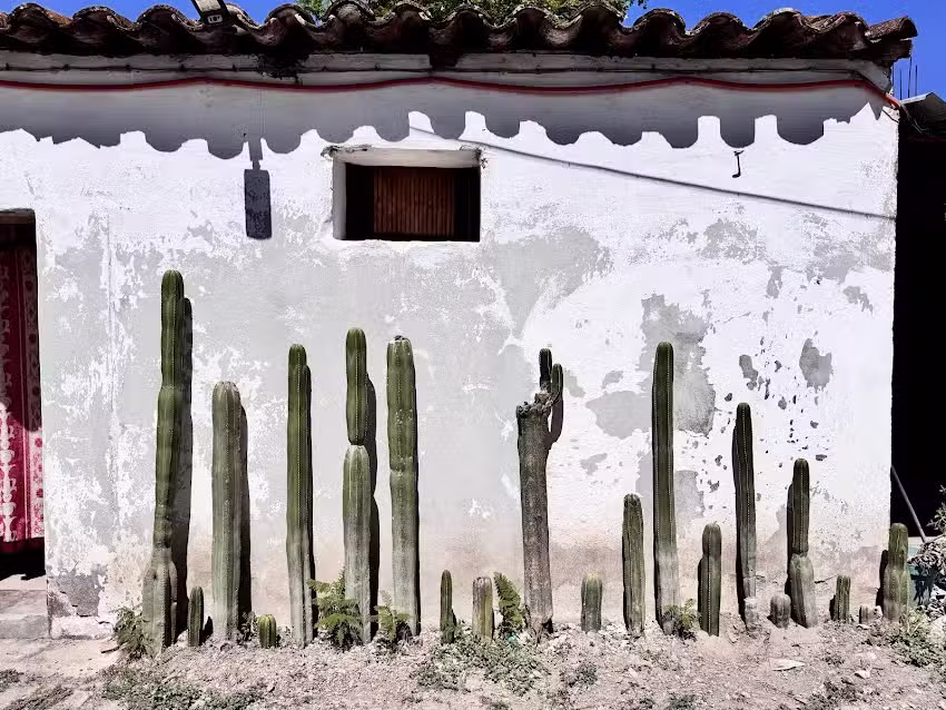 Alojamiento Encanto Zapoteco