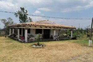 ALTO LUCERO CAMPESTRE