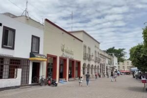 Ameca