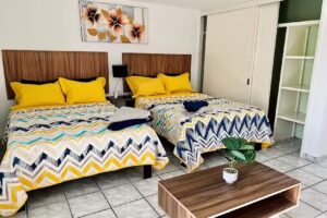 Amueblados Le&oacute;n Gto