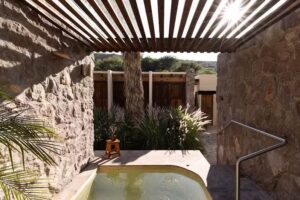 Armadillo M&aacute;gico