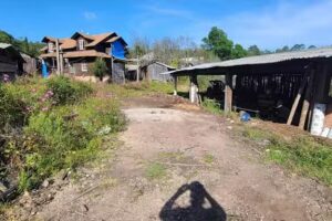 Aserradero Olivier Mendoza