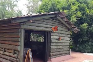 AUTO HOTEL REAL PALMILLAS.