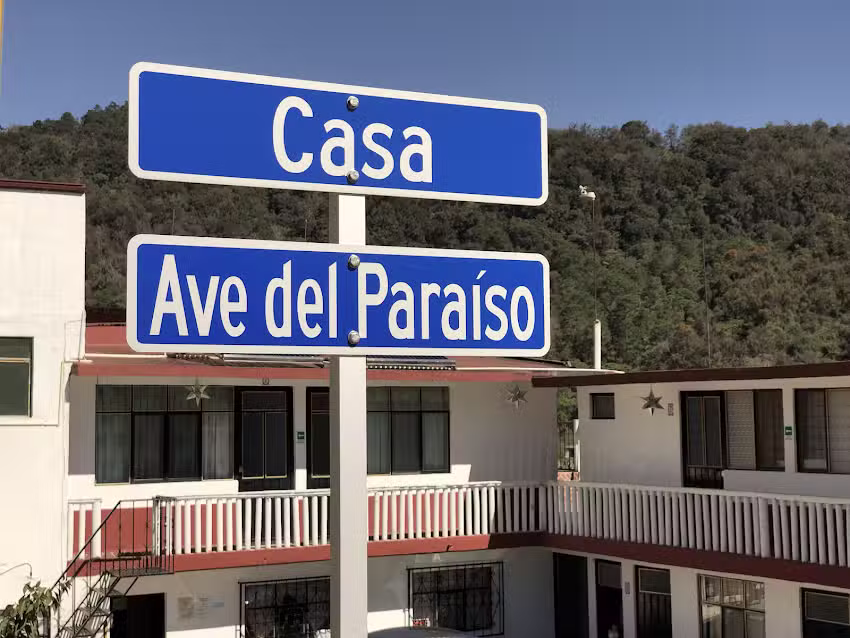 Ave del Para&iacute;so