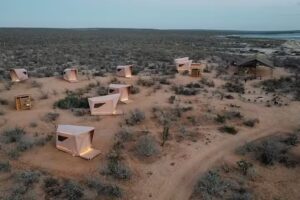 Bahía Magdalena Ocean Camp