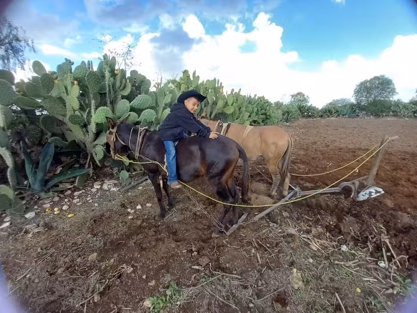 Bajio De Los Encinos