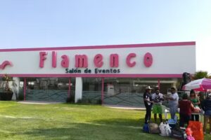 Balneario Flamingos