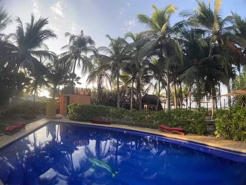 Bambuddha Centro Hol&iacute;stico Acapulco