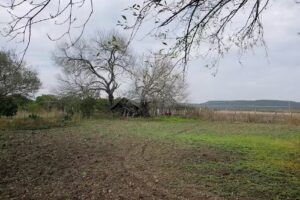 Bigotes Resort Hotel