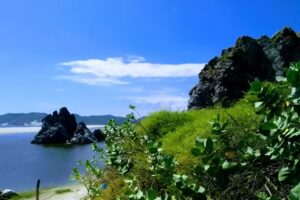 Blue Rock Restaurant & Surf Camp