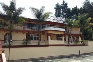 Bosque de los Cipreses