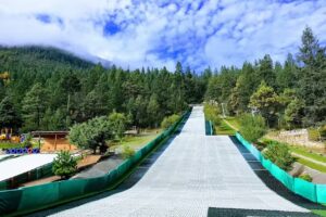 Bosques de Monterreal