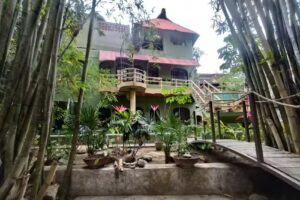 Botanical Studios Sayulita