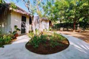 Bugambilias Alojamiento