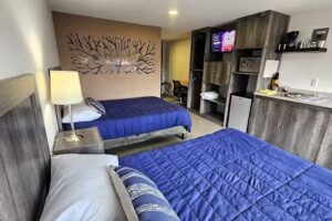 C3 SUITES LUXURY AIRBNB