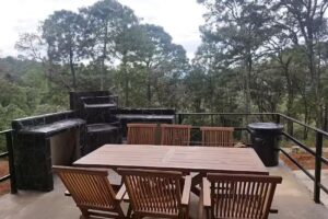 Caba&ntilde;a Anthemis