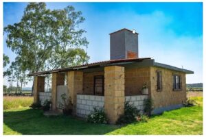 Cabaña “Árbol de la Vida”