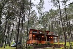 Caba&ntilde;a los Venaditos