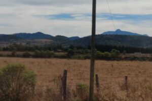 Caba&ntilde;a Manzanitos