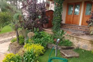 Caba&ntilde;a Pinar de la calma