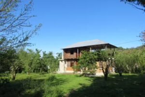 Caba&ntilde;a Selva de los Colibries