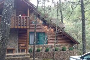 Caba&ntilde;as Antiguo Aserradero