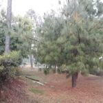 Caba&ntilde;as Bosque Escondido