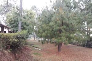 Caba&ntilde;as Bosque Escondido