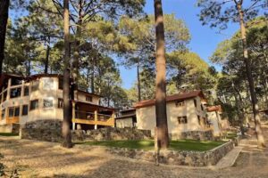 Caba&ntilde;as Bosque Magico