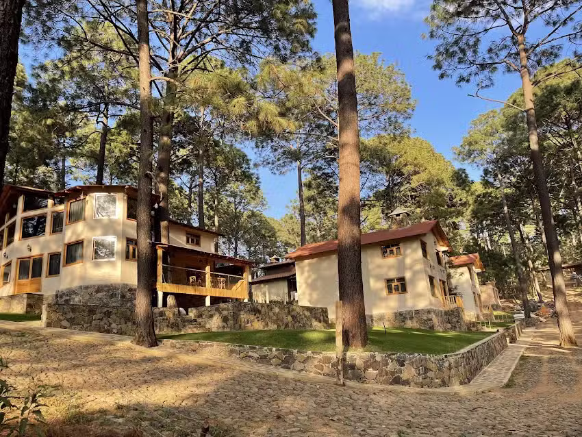 Caba&ntilde;as Bosque Magico