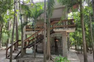 Caba&ntilde;as Bosque Tantocob