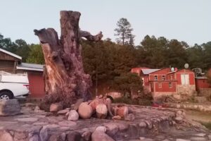 Caba&ntilde;as cahuisori