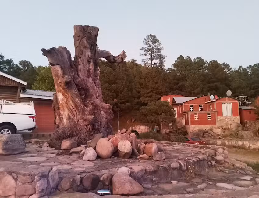 Caba&ntilde;as cahuisori