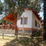 Caba&ntilde;as del bosque