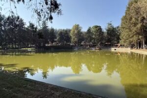 Caba&ntilde;as Edel Haus