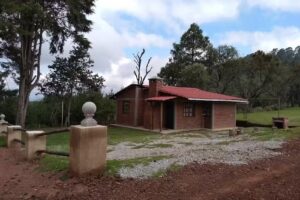 Caba&ntilde;as El Pinar