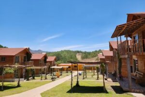 Caba&ntilde;as El Pinar de Surutato