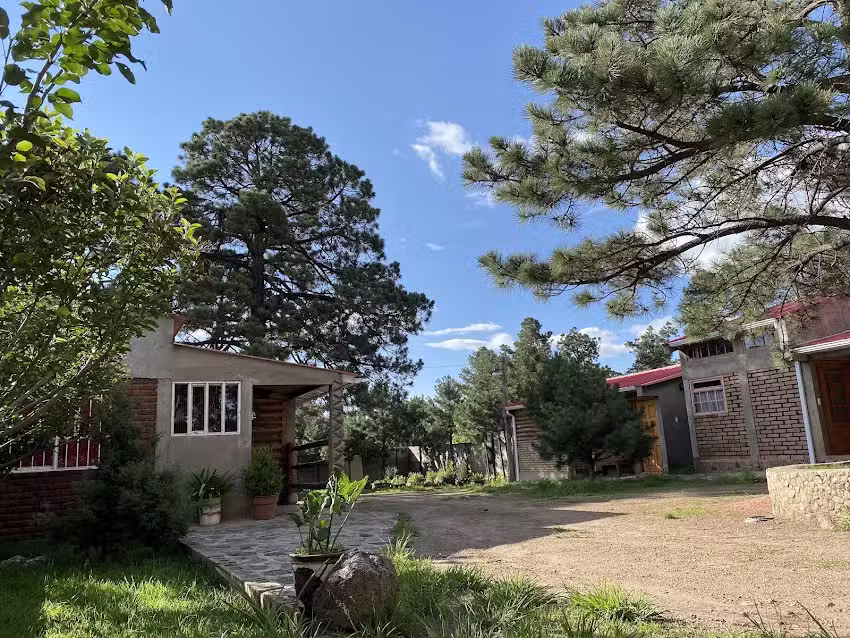 Caba&ntilde;as El Profe