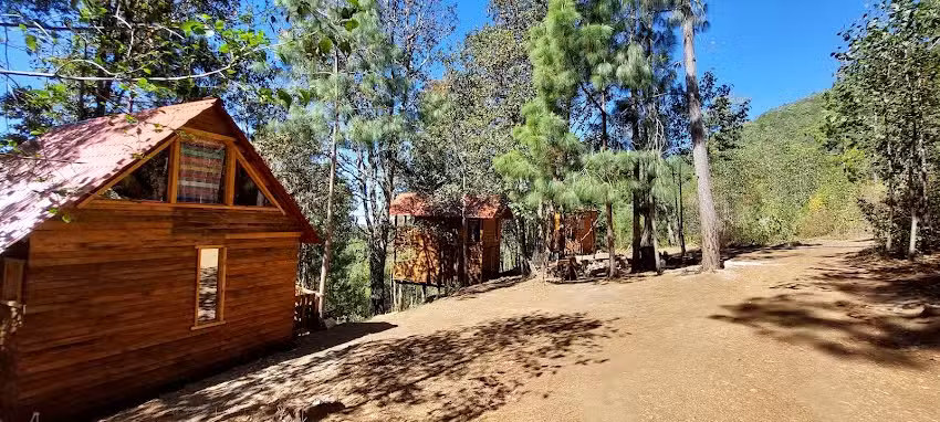 Caba&ntilde;as en el Bosque de San Jos&eacute; del Pac&iacute;fico