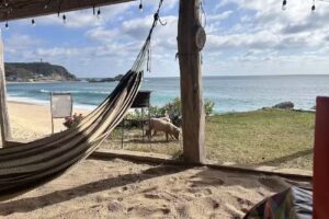 Caba&ntilde;as & Enramada Mauricia