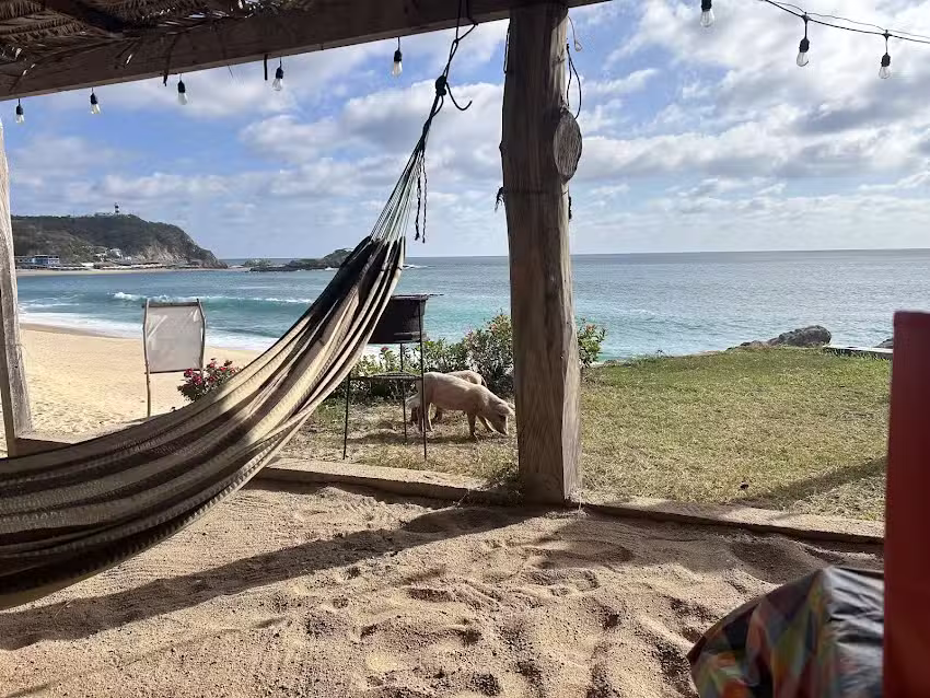 Caba&ntilde;as & Enramada Mauricia