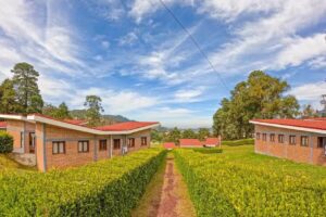 Caba&ntilde;as &ldquo;Entrada a la Sierra&rdquo;