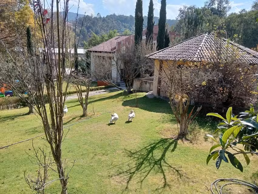 CABA&Ntilde;AS ESPERANZA