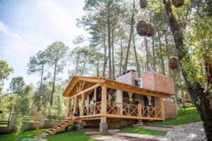 Caba&ntilde;as la Vid del Bosque